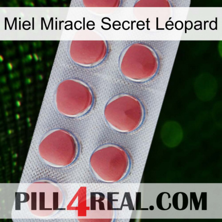 Miel Miracle Secret Léopard 18
